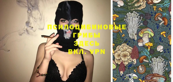 шишки Инта